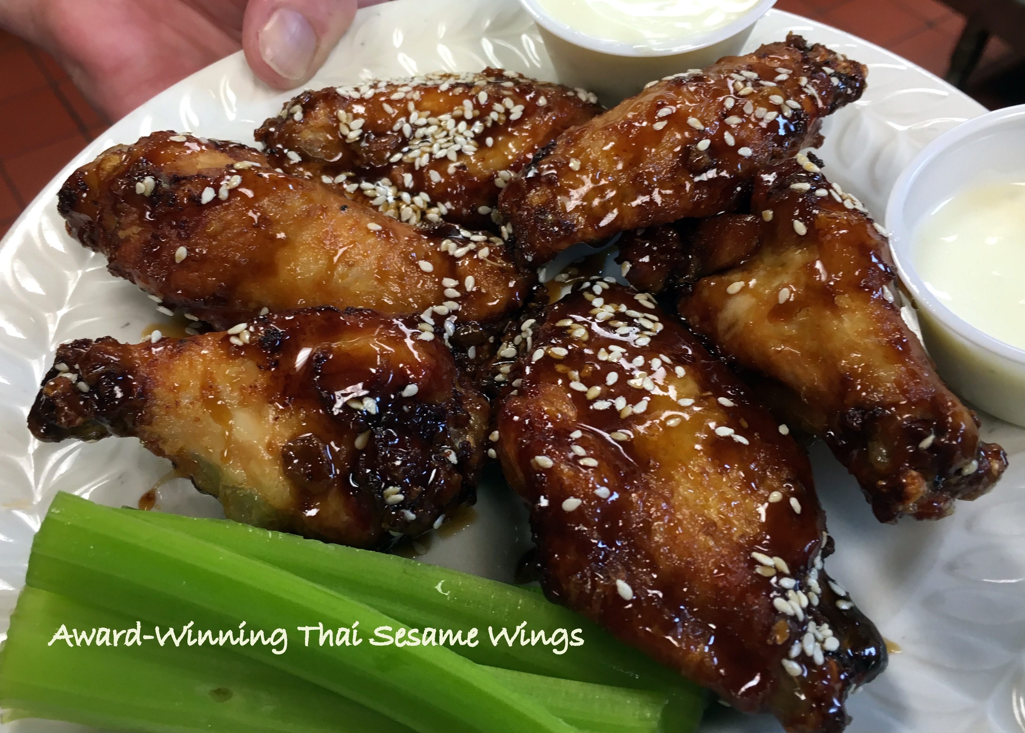 Wings_IMG_4519