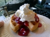 topped-waffle-iron-001